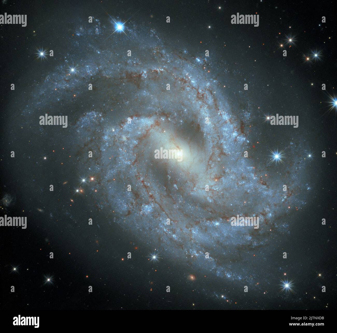 Spiral Galaxy NGC 2525 Constellation of Puppis. Elements of this picture furnished by NASA Stock Photo