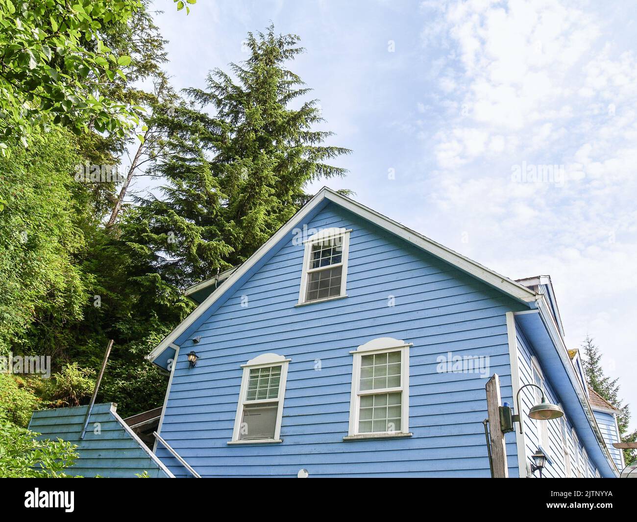 Blue colonial style weatherboard building surrounded by lush green ...