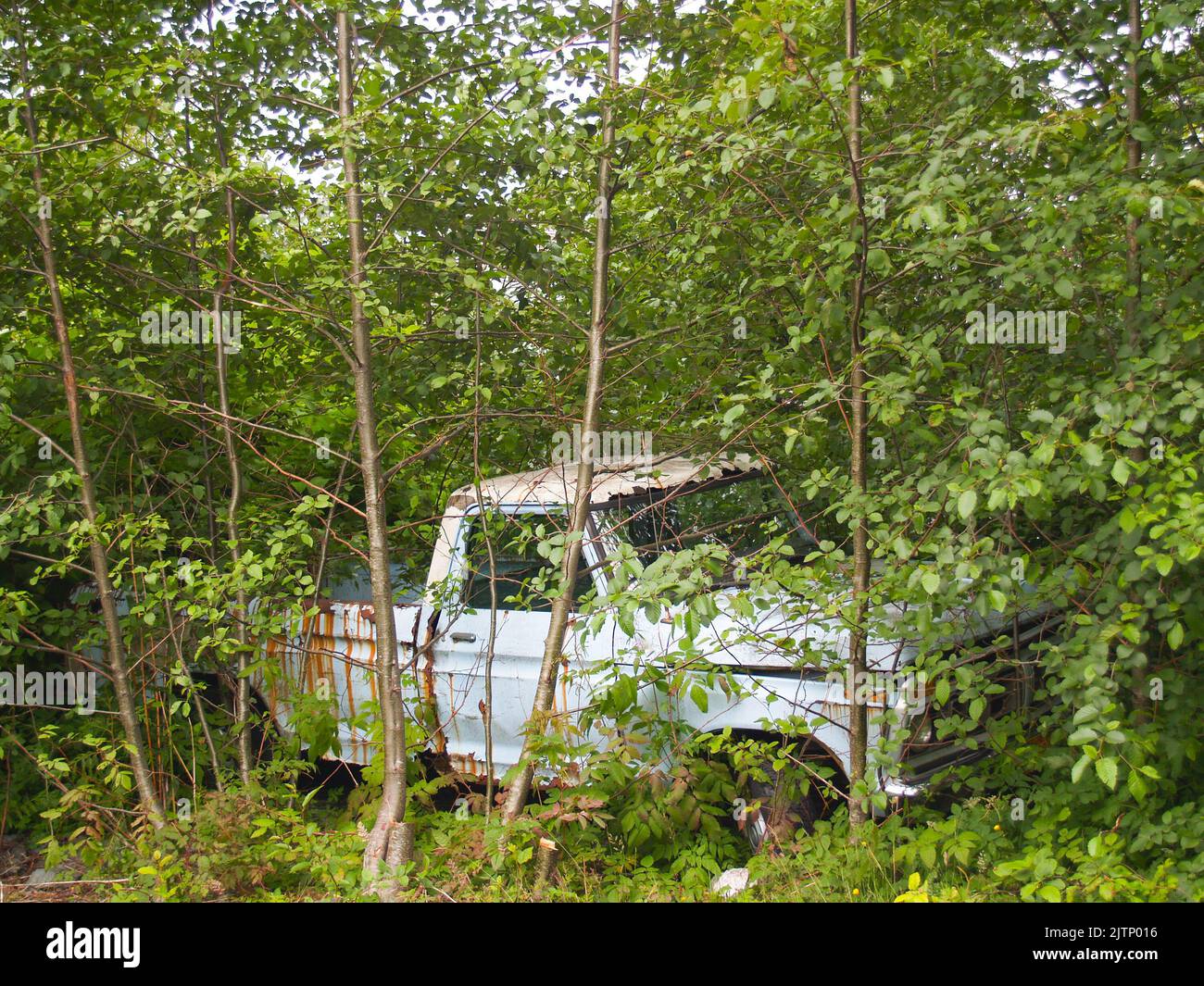 Old pickup truck abandoned rusting away in forest Stock Photo Alamy