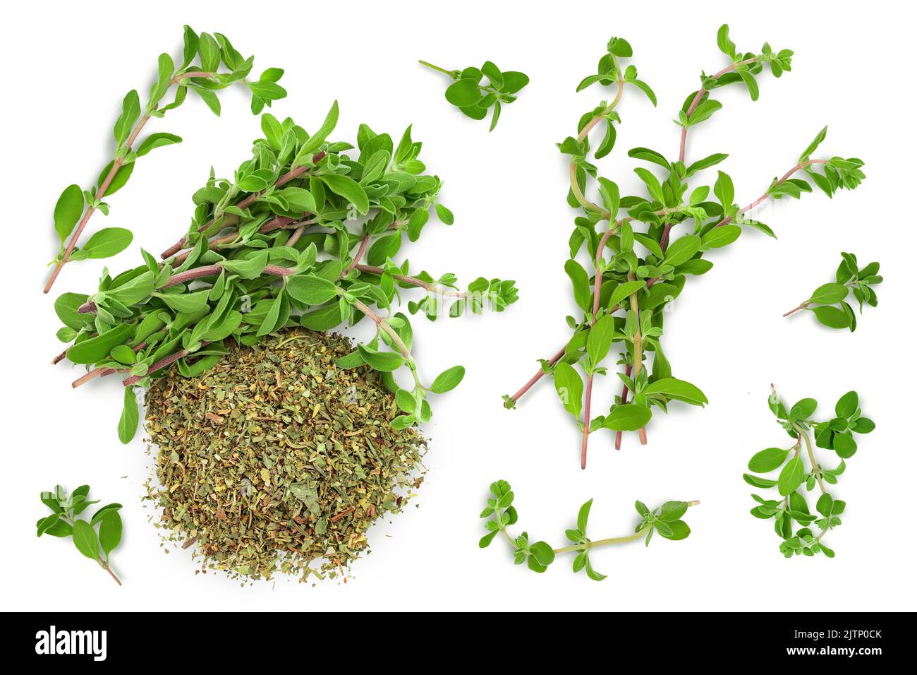 Oregano or marjoram leaves fresh and dry isolated on white background. Top view. Flat lay Stock