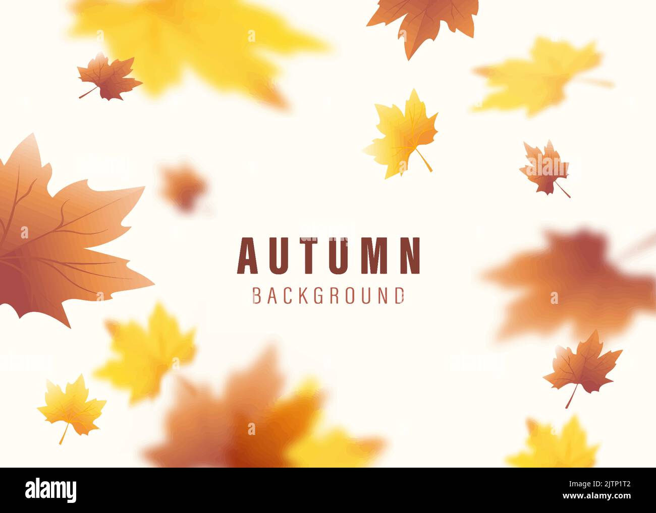 autumn background with yellow leaves vector and autumn leaves Stock