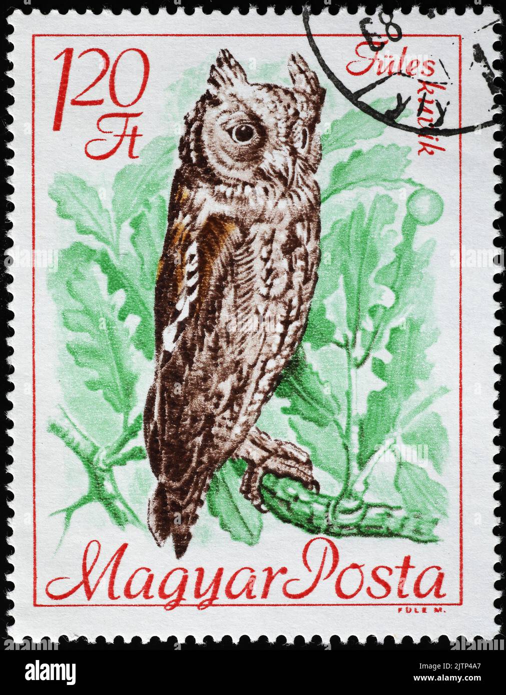 Eurasian scops owl on hungarian postage stamp Stock Photo