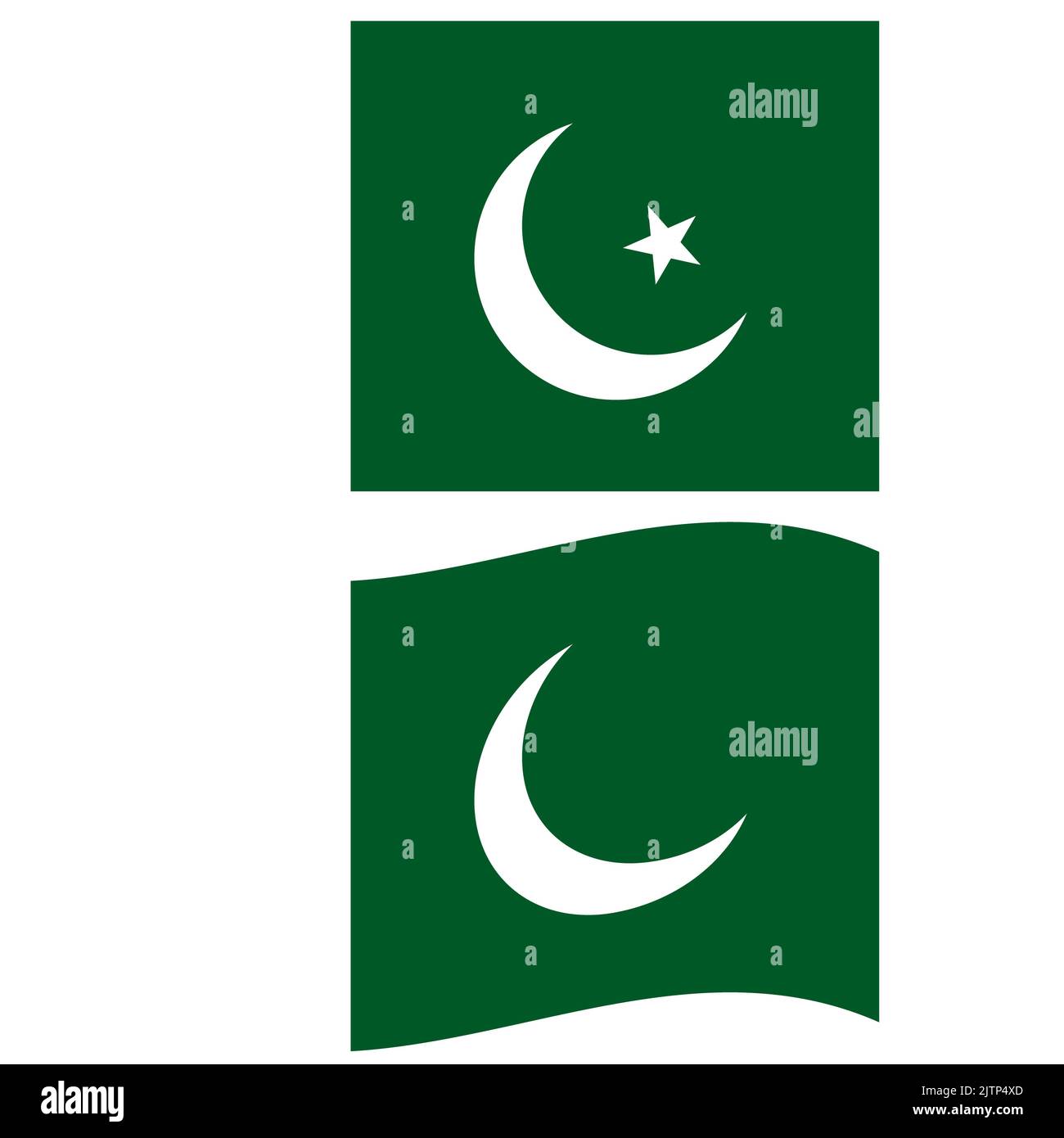 National flag of Pakistan with paper texture background. Flag of Pakistan. Pakistan waving flag. flat style. Stock Photo