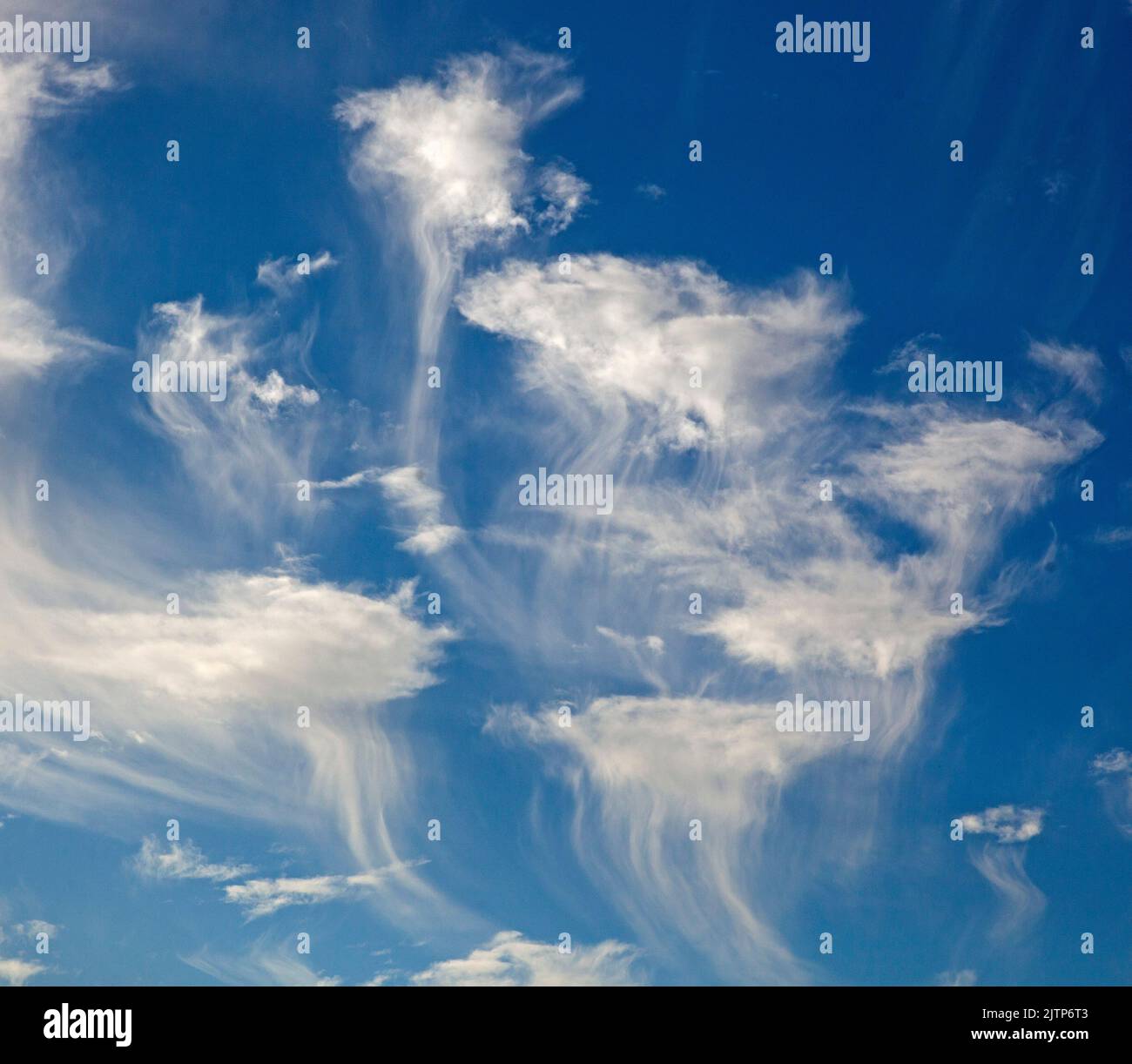 Edinburgh, Scotland, UK, 1st Septmber 2022. Jellyfish shaped Cirrus Clouds against a blue sky form an interesting pattern in the morning sky. Credit: Archwhite/alamy live news. Stock Photo