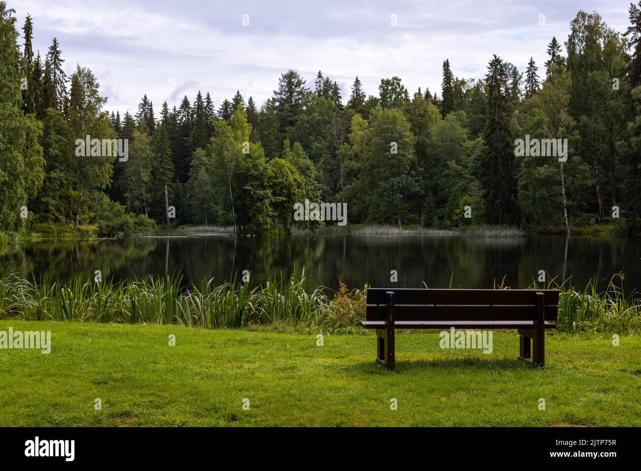 Park bench next to a calm pond in the park in Finland Stock Photo