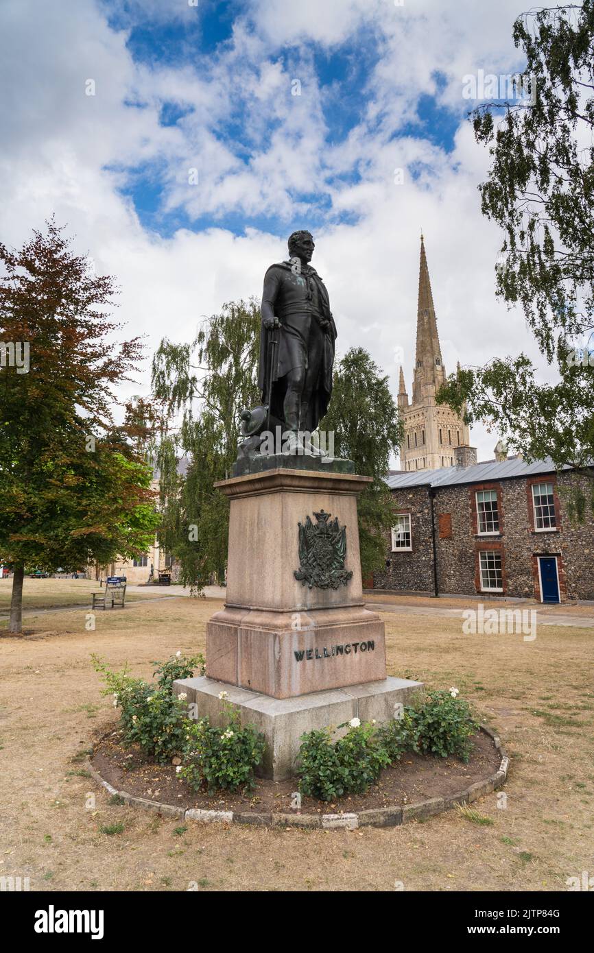 Duke of Wellington Statue in Norwich, Nofolk, UK Stock Photo