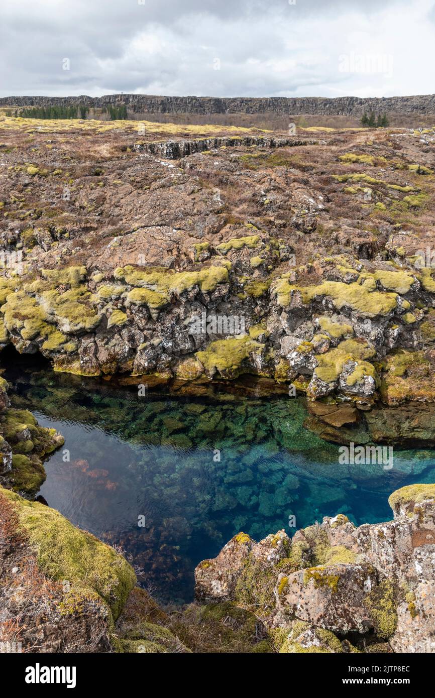 The crystal clear waters of the Silfra Fissure which is loved by divers, Thingvellir National Park, Iceland. Stock Photo