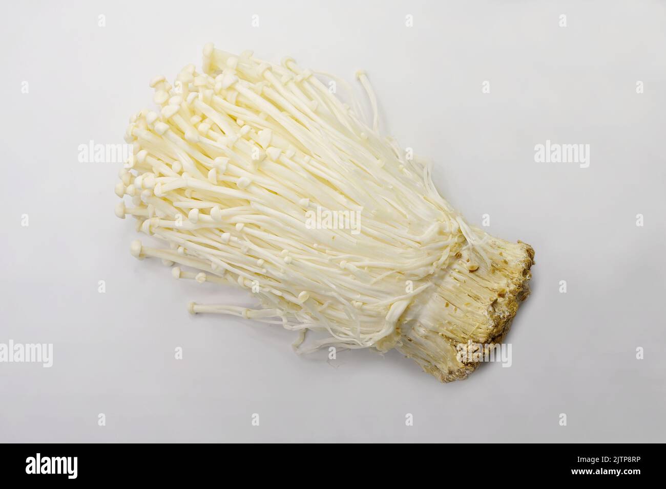 Fresh Enoki or Golden needle mushroom, Flammulina filiformis, on white