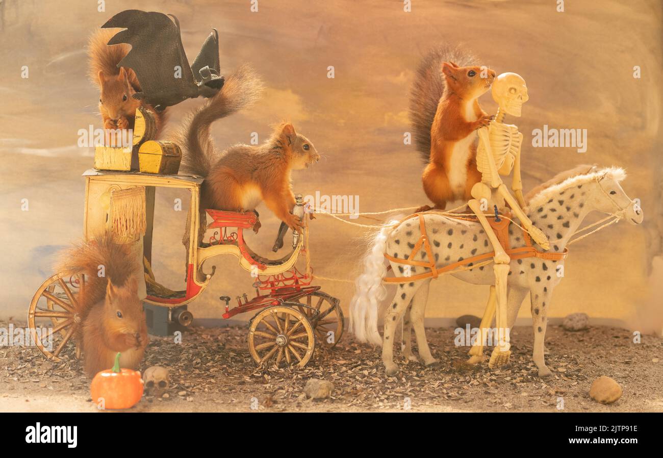 Red Squirrels with an horse and a horse carriage Stock Photo