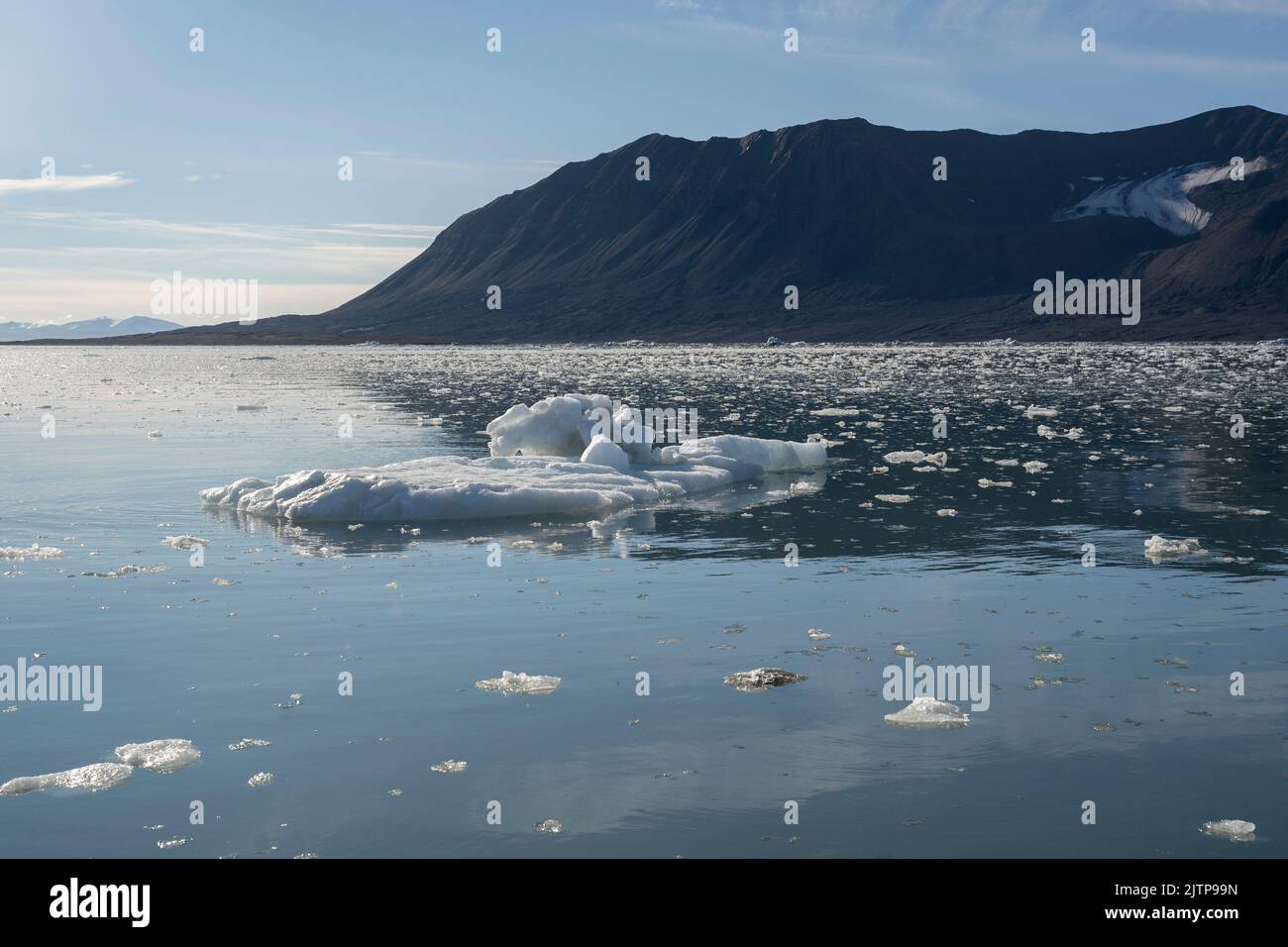 ice pieces floating in the water of the arctic ocean in Svalbard islands (Norway) Stock Photo