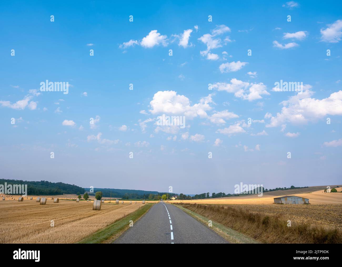 lorraine landscape with road in the north of france with straw bales under blue summer sky Stock Photo