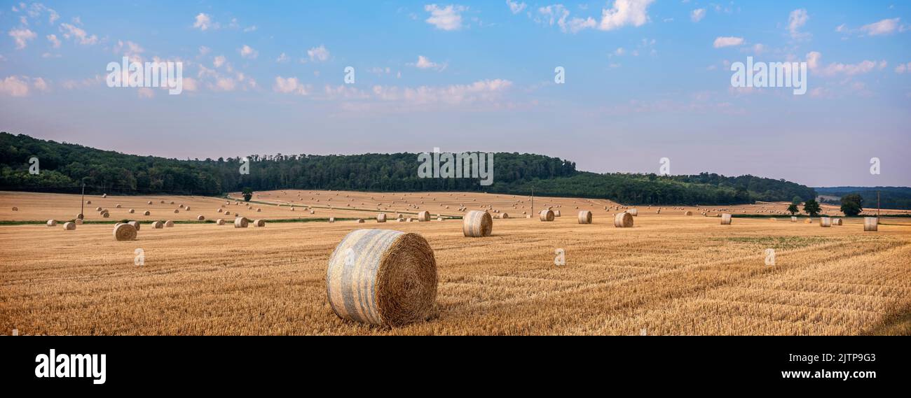 lorraine landscape in the north of france with straw bales under blue summer sky Stock Photo
