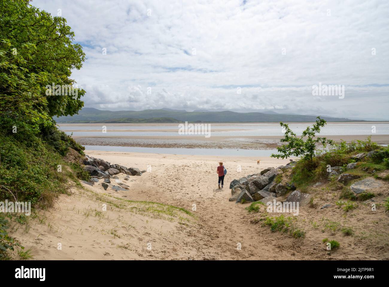 Woman and her dog enjoying the beach near Borth-y-Gest overlooking the Glaslyn estuary on the coast of North Wales. Stock Photo