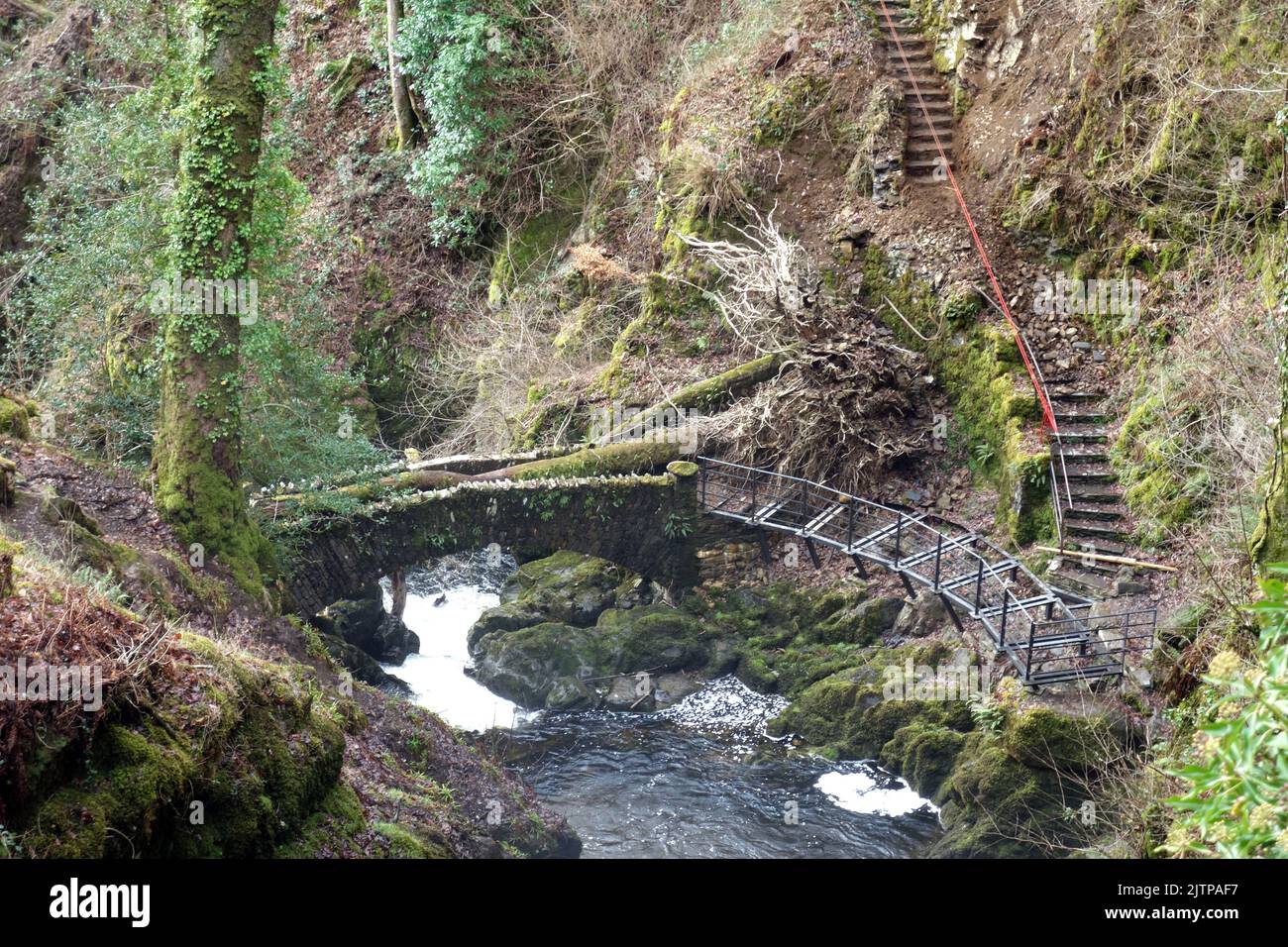 Tree Blocking a Bridge & Landslip from Storm Dudley near Aria Force Waterfall in the Lake District National Park, Cumbria, England, UK Stock Photo