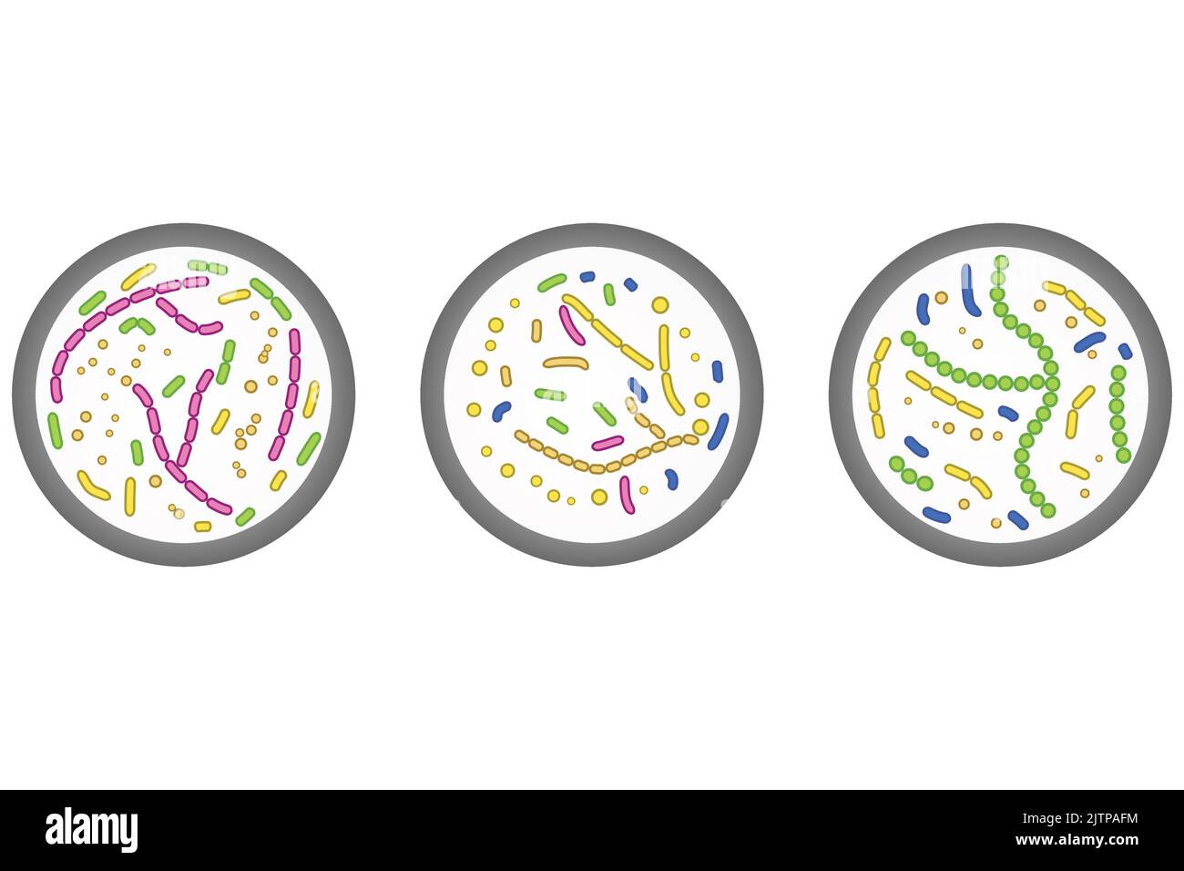 Set of 3 petri dish icons. Colorful simple illustration with bacterial cells. Stock Vector