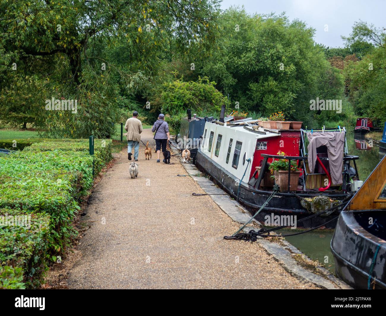 Dog walkers and narrowboats, Grand Union canal, Campbell Park, Milton Keynes, UK Stock Photo