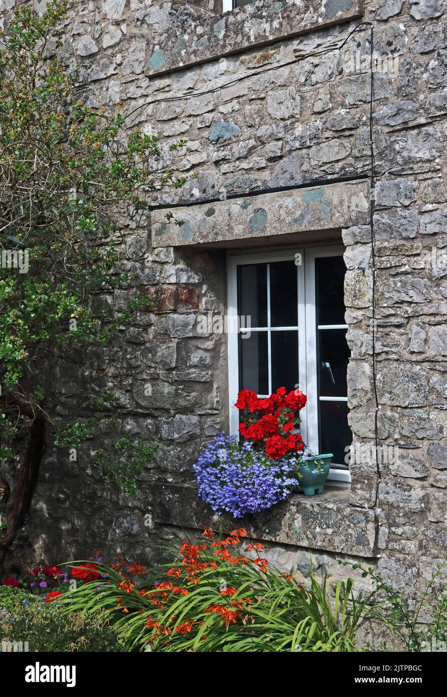 Colourful plants in border and on window ledge of stone house Stock Photo