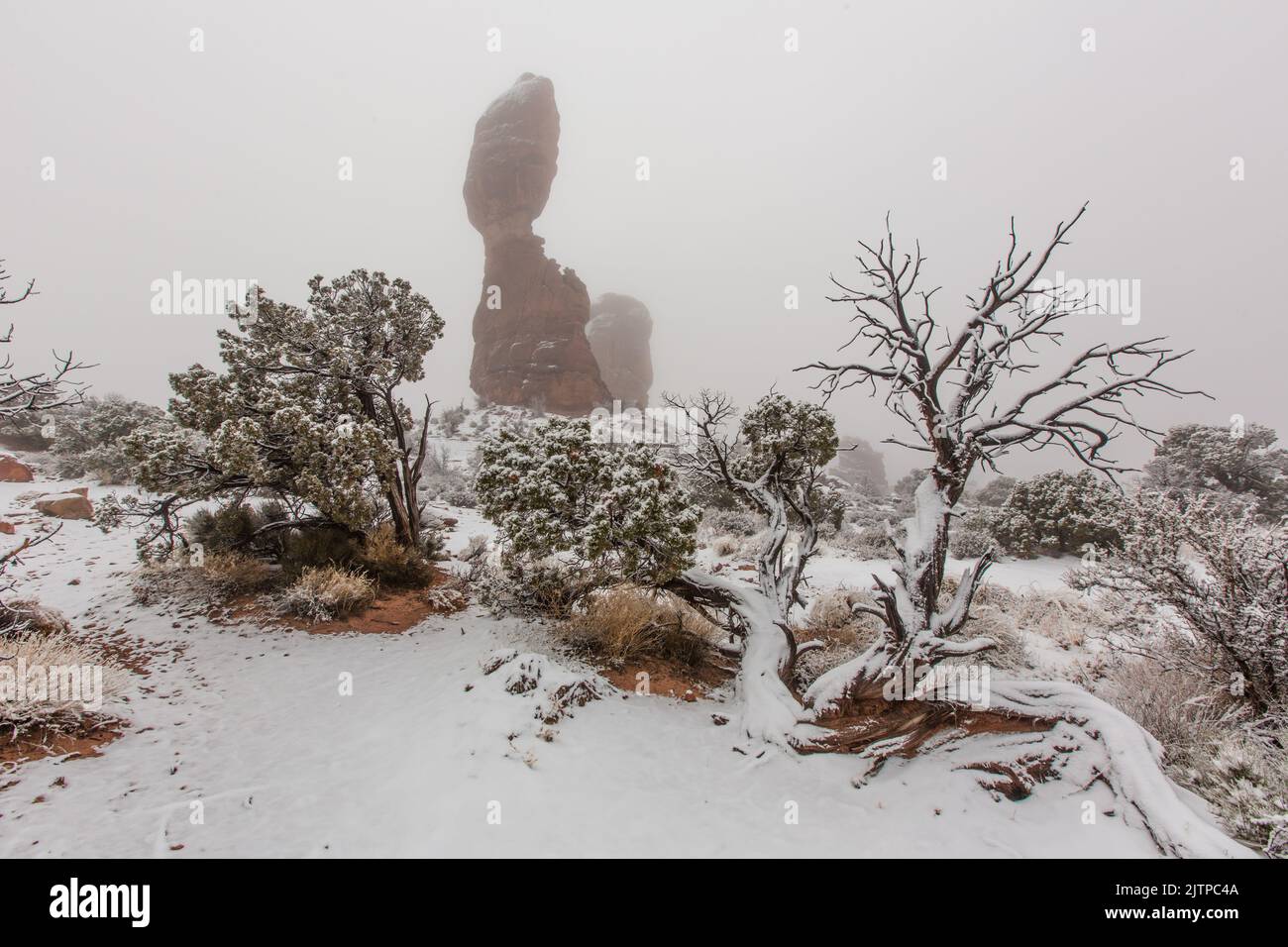 Balanced Rock in the freezing fog of a temperature inversion in winter
