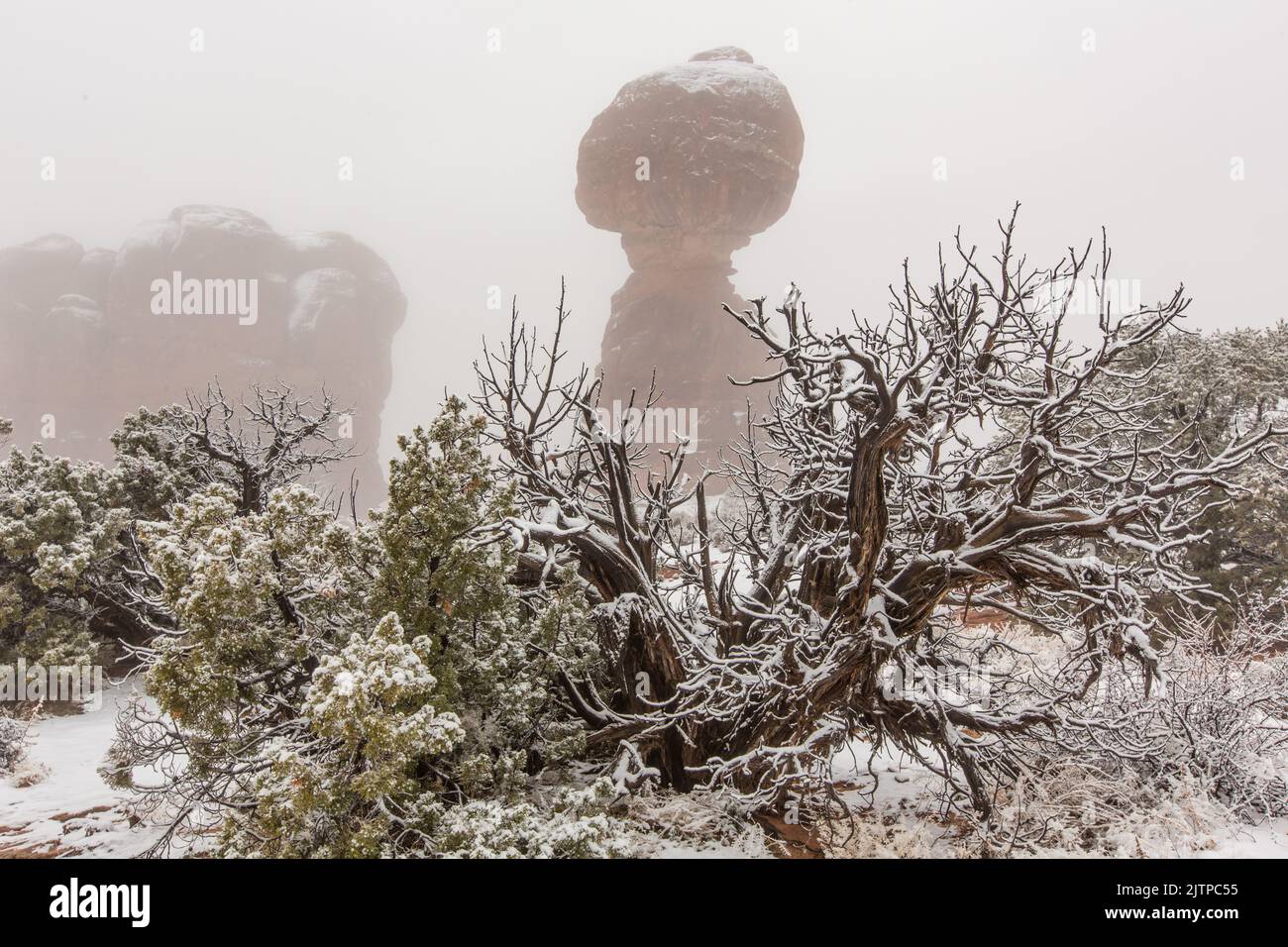 Balanced Rock in the freezing fog of a temperature inversion in winter