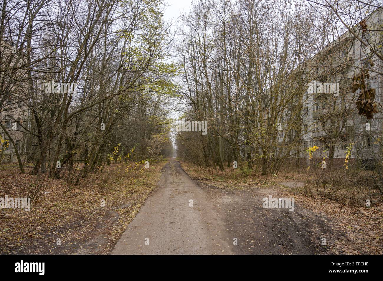 Sperrzone Tschernobyl und Geisterstadt Prypjat in der Ukraine Stock