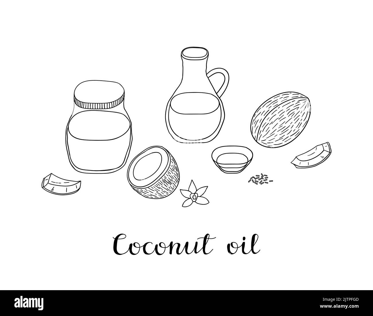 Hand drawn outline coconut oil in glass bottles and raw cocos isolated