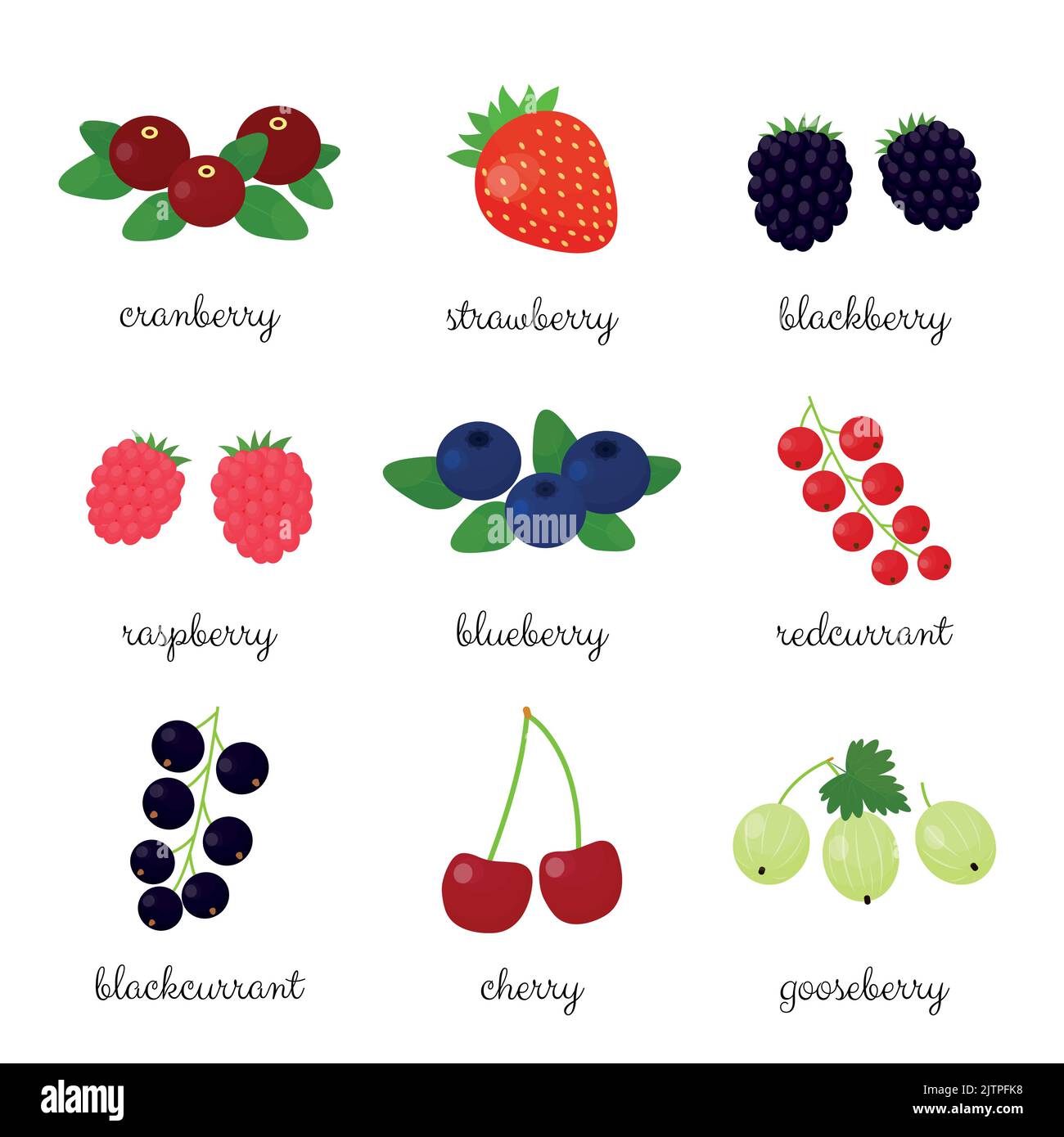 Cartoon berries with names isolated on white background Stock Vector
