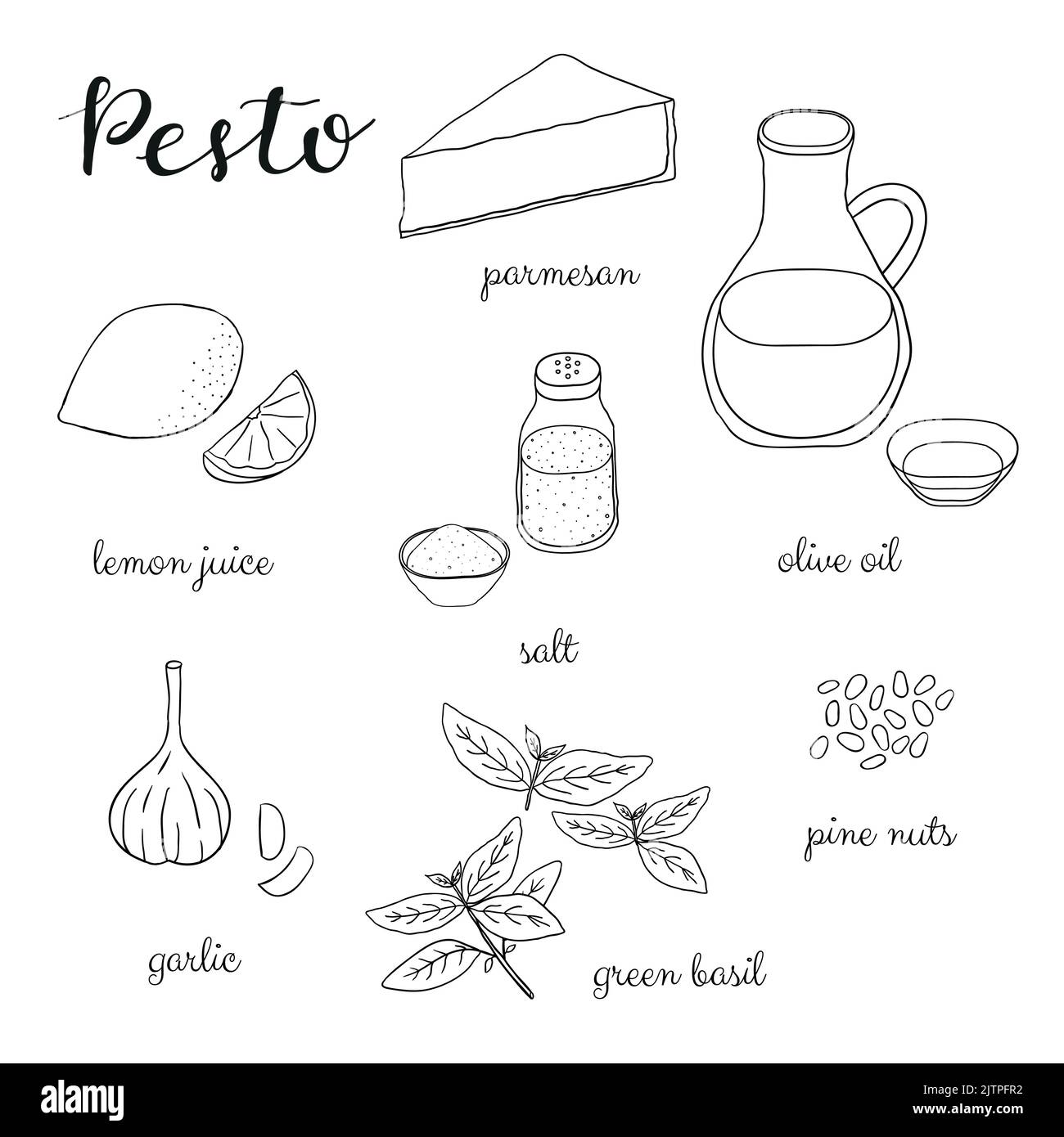 Pesto sauce outline ingredients isolated on white background. Parmesan, lemon, salt, olive oil, garlic, basil, pine nuts. Vector illustration in hand Stock Vector