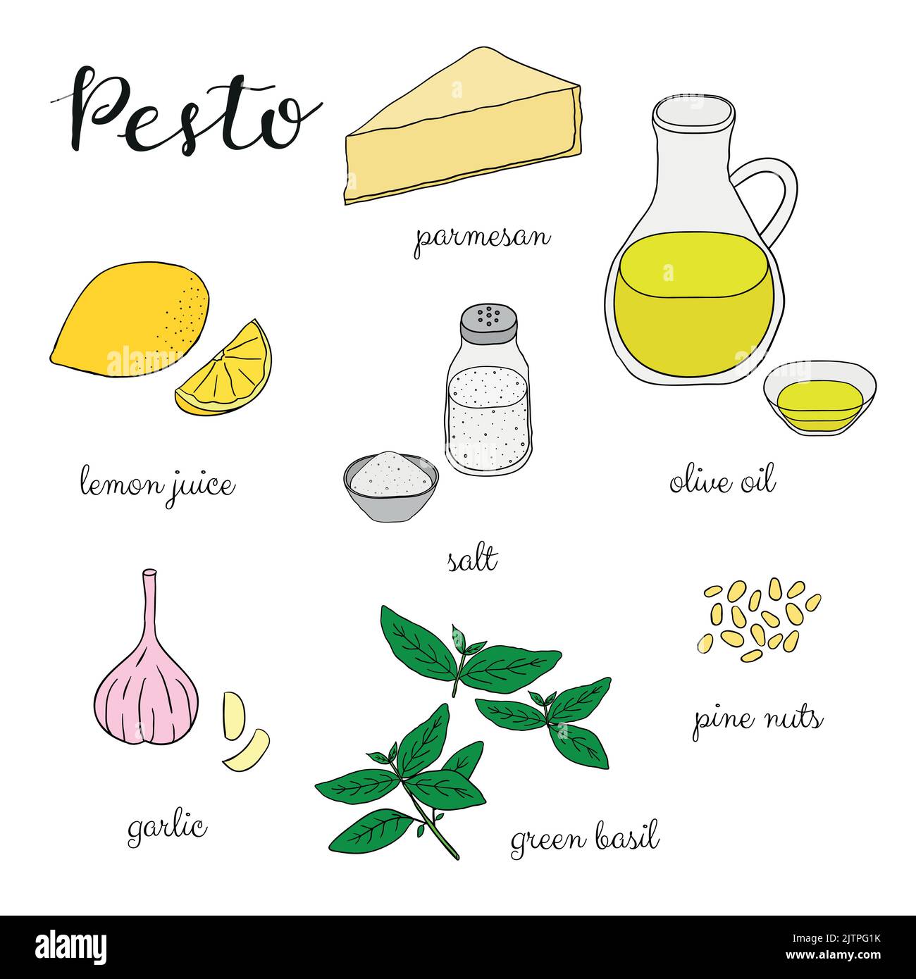 Pesto sauce ingredients isolated on white background. Parmesan, lemon, salt, olive oil, garlic, basil, pine nuts. Vector illustration in hand drawn st Stock Vector