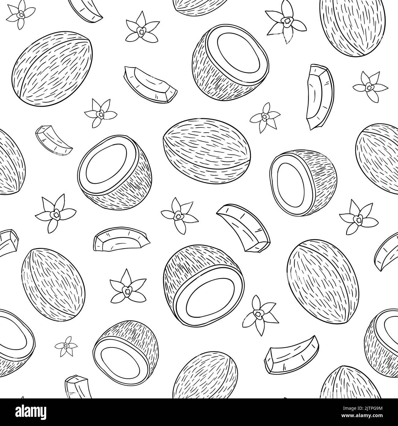 Black and white seamless pattern with hand drawn coconuts and tropical ...