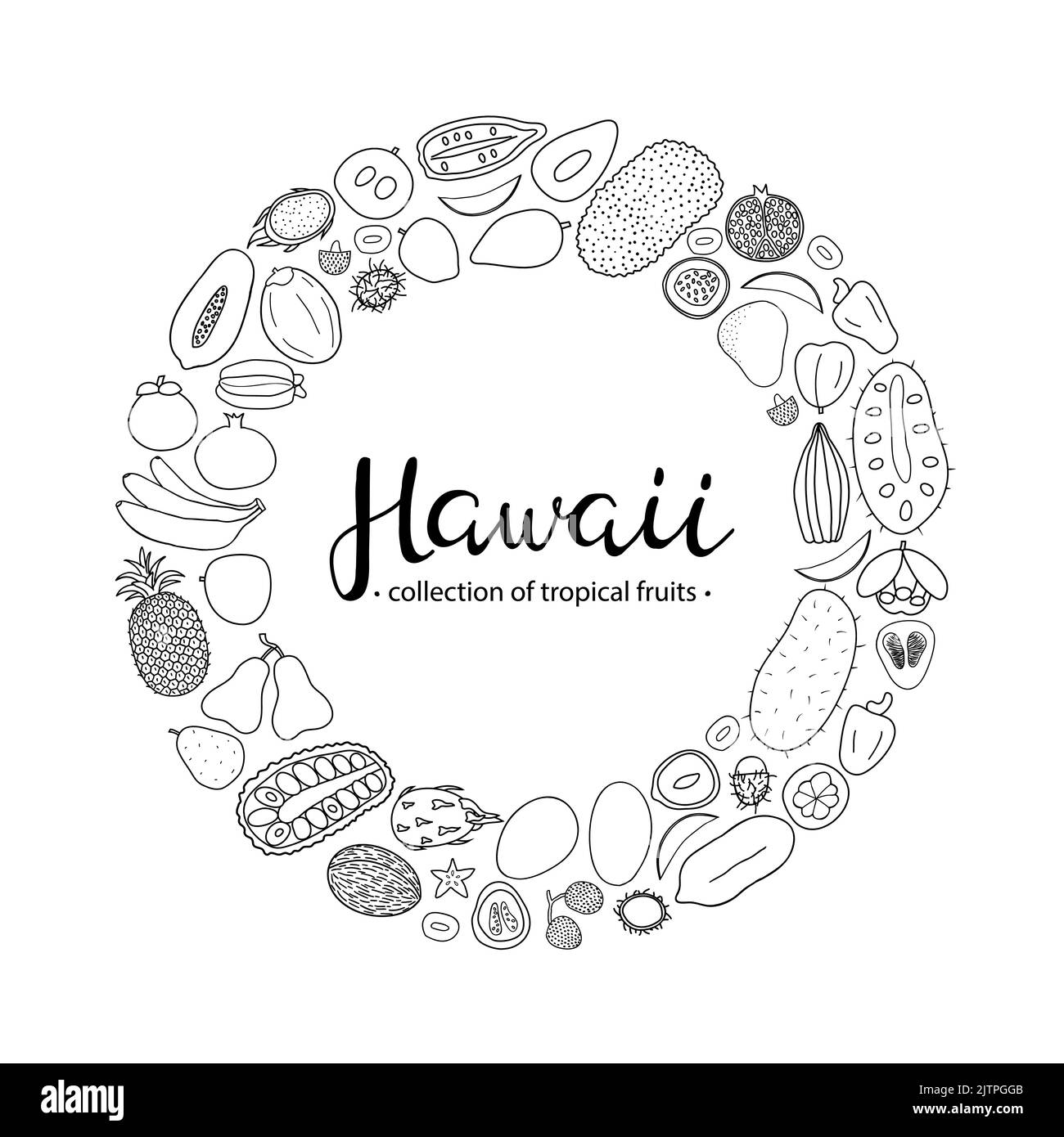 Hand drawn outline tropical fruits of Hawaii in circle shape with lettering. Stock Vector