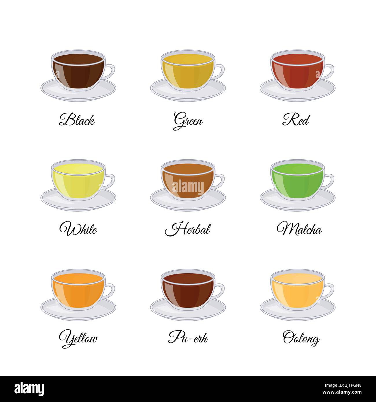 Different kinds of tea including black, green, white, matcha, pu-erh, yellow, red, herbal, oolong isolated on white background. Vector illustration in Stock Vector