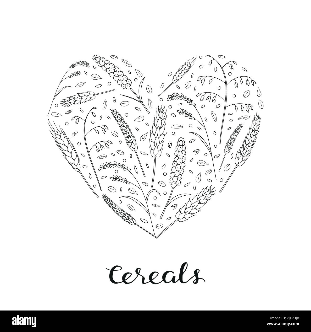 Hand drawn cereals and grains in heart shape with lettering barley