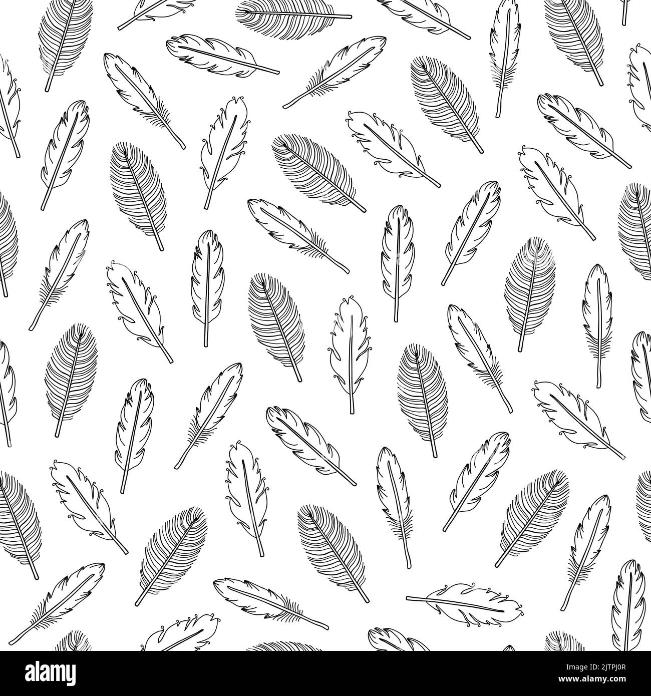 Black and white seamless pattern with hand drawn boho feathers Stock ...