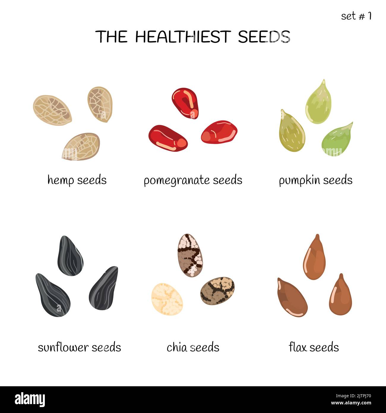 Collection of healthiest seeds with names including hemp, pomegranate