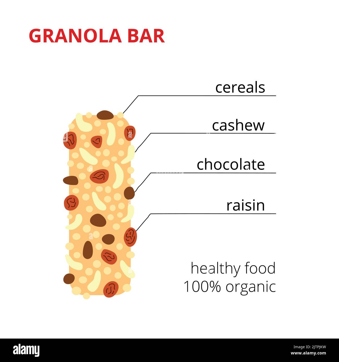 Granola bar ingredients infographic. Healthy snack with cereals, cashew