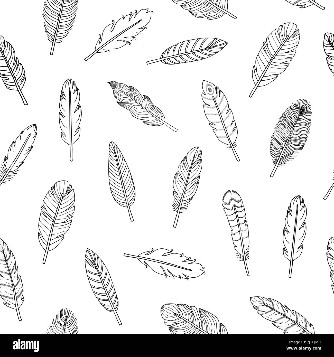 Seamless pattern boho feathers Black and White Stock Photos & Images ...