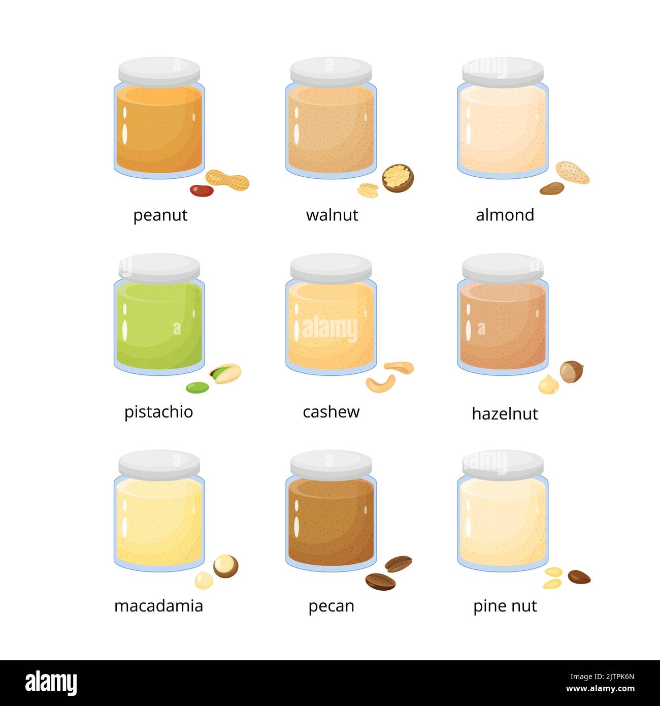 Set of different cartoon nut spreads or butters in glass isolated on