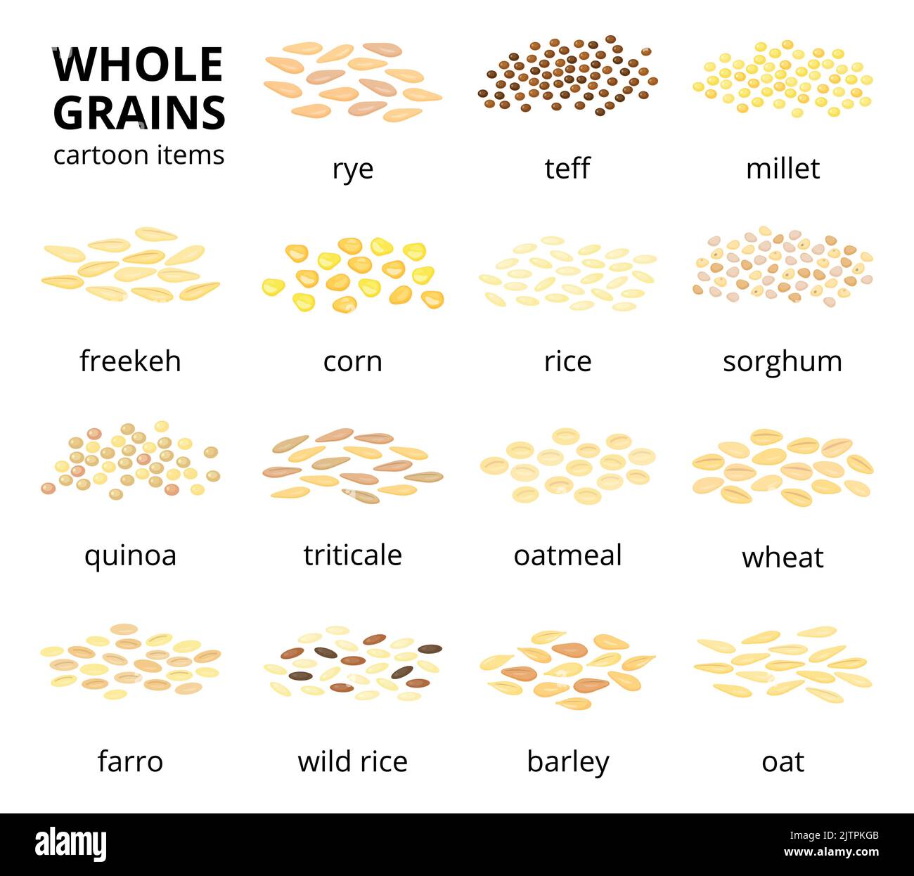 Collection of different cartoon whole cereal grains isolated on white background with names. Stock Vector