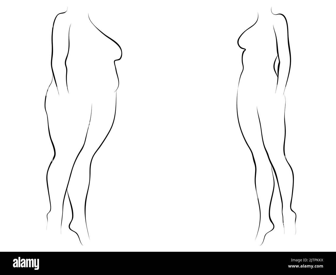 Conceptual fat overweight female vs slim fit healthy body after weight loss or diet with muscles thin young woman. 3D illustration for fitness, nutrit Stock Photo
