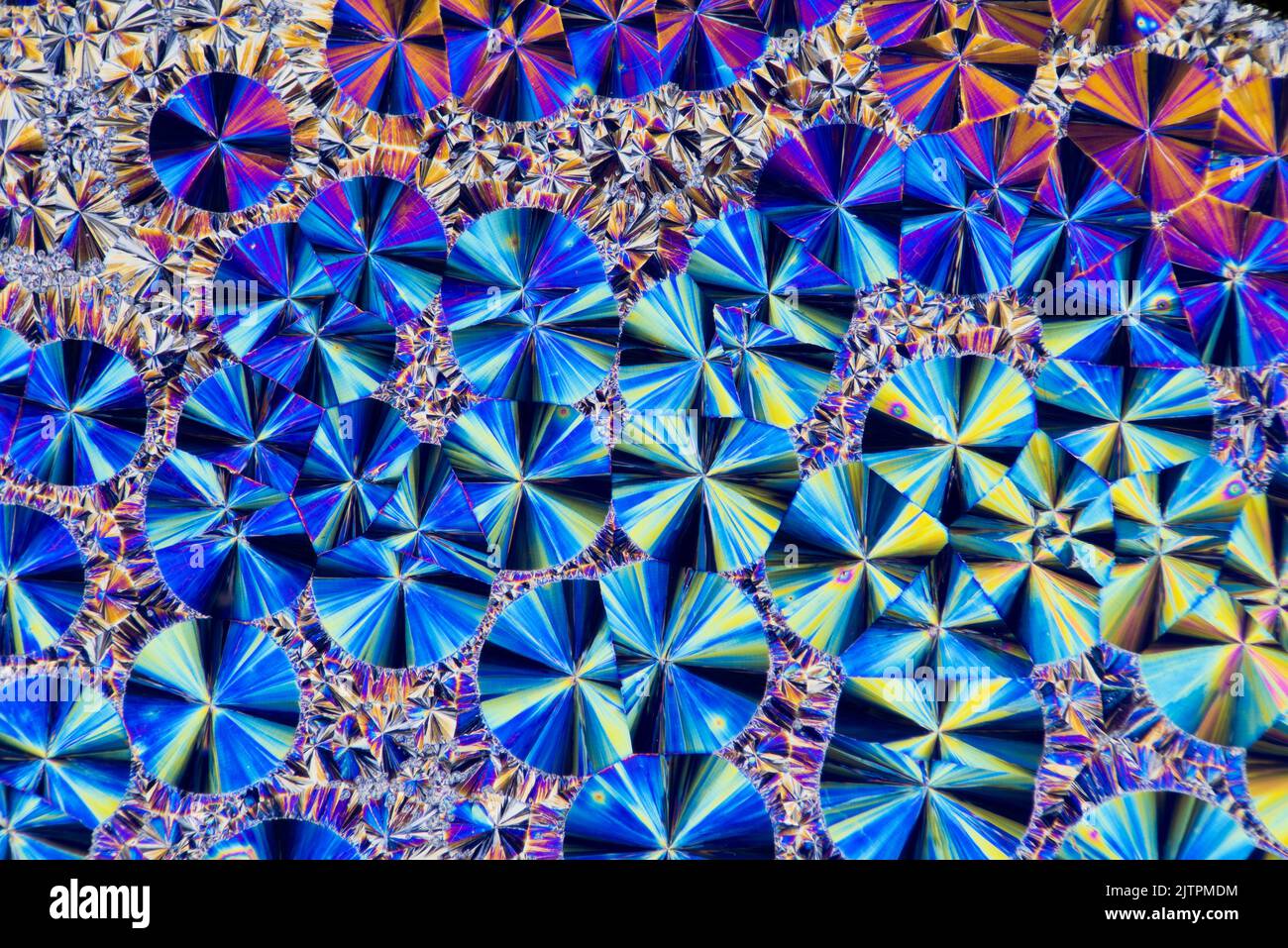 Salicene chemical crystaline slide melt, cross polarized photomicrograph Stock Photo