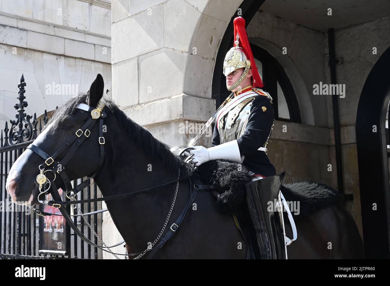 Royal Horse Guard, Horse Guards Parade, Whitehall, London. UK Stock