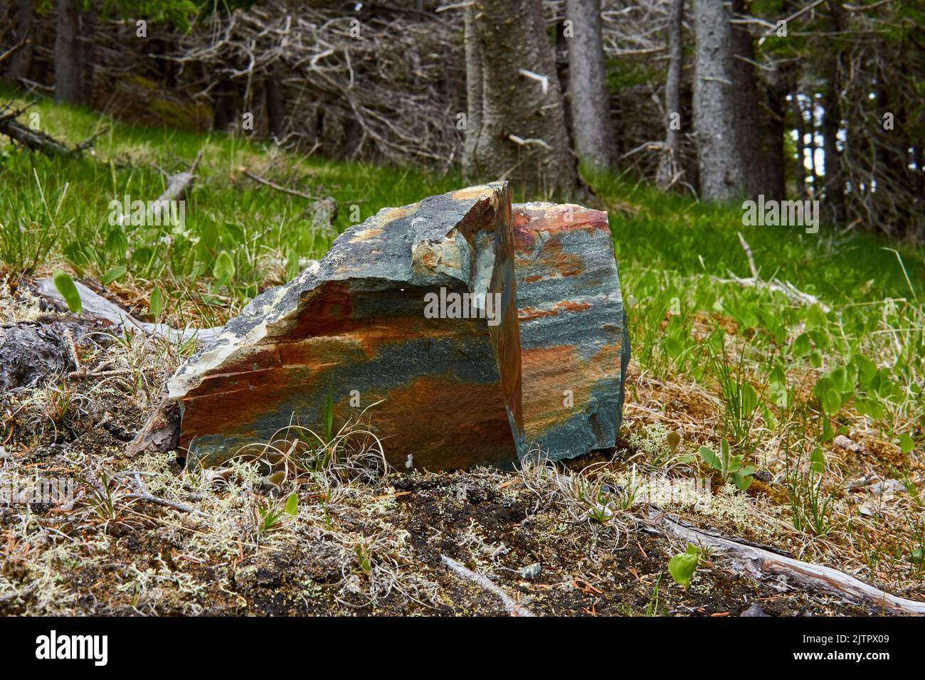 The close-up view of a blue and brown split rock before the trees Stock ...