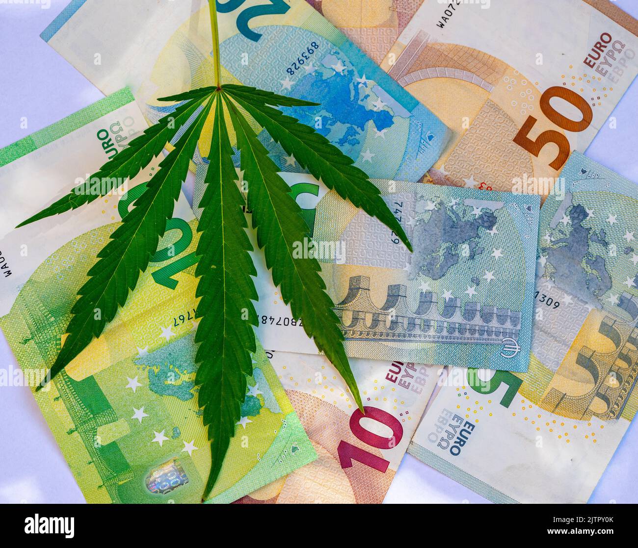 Marijuana Trade Stock Exchange Trading Symbolic Stock Photo Alamy marijuana-trade-stock-exchange-trading-symbolic-stock-photo-alamy