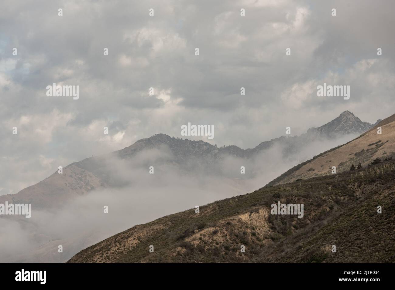 Mist Between Two Ridges Fog Passing Between Two Ridges Along Big Sur Coast in California Stock ...