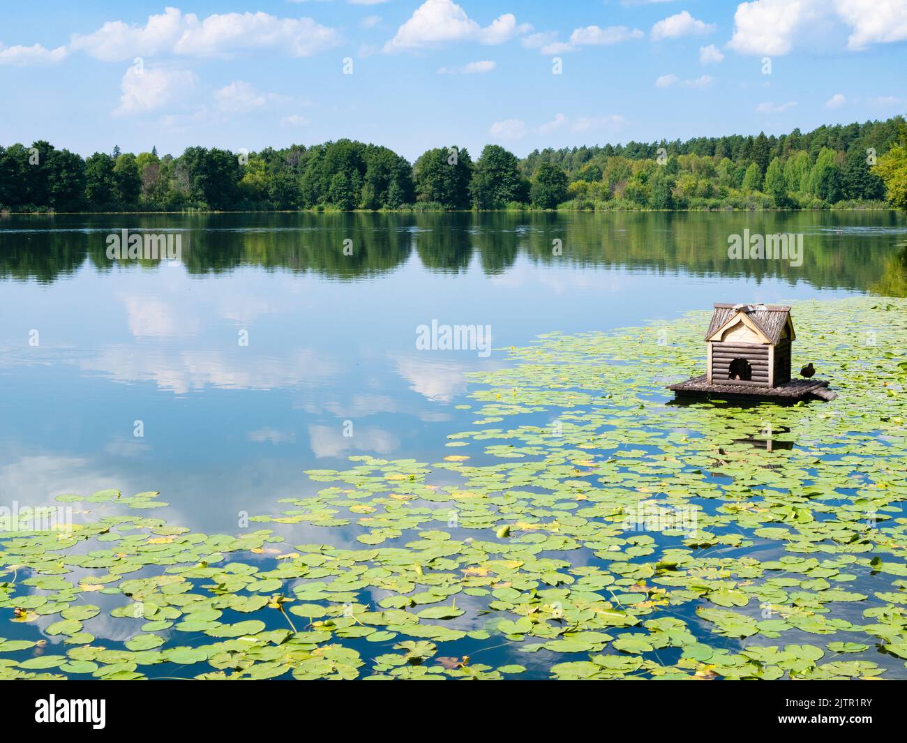 Floating duck house hires stock photography and images Alamy