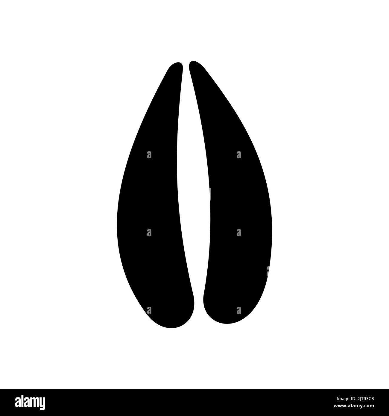 Wild stag mammal footsteps, trace after walk on ground isolated black