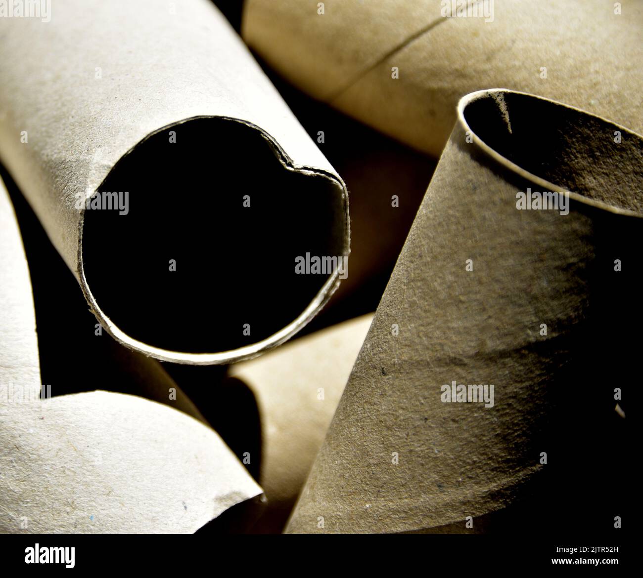 Toilet paper brand Cushelle is removing the cardboard inner tube from