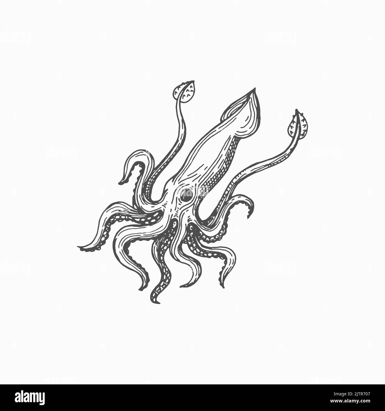 Calamari squid aquatic creature with tentacles and suckers, giant