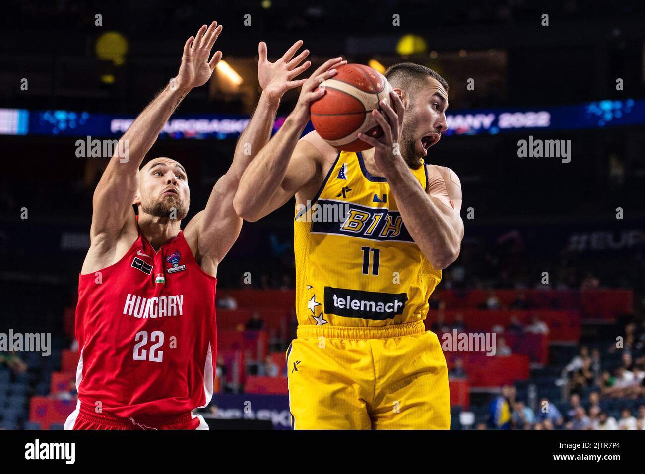 Cologne, Germany. 01st Sep, 2022. Basketball: European Championship