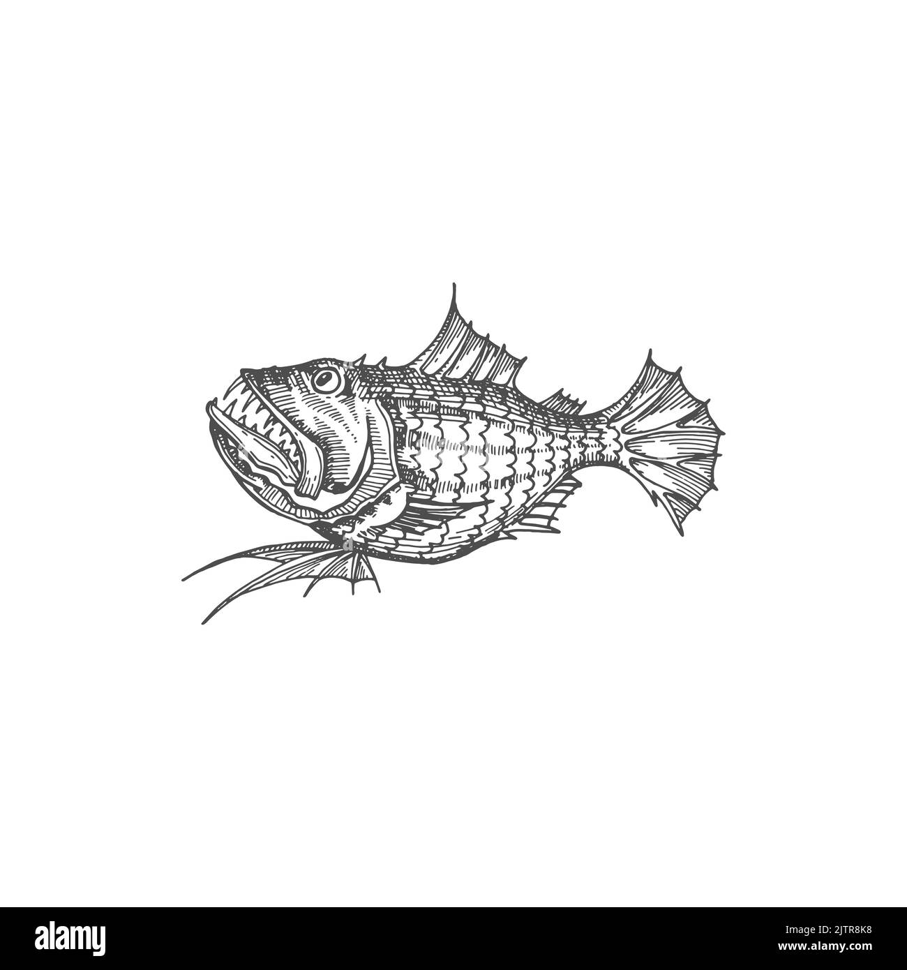 Blobfish hatchet fish isolated giant oarfish monochrome sketch icon. Vector barreleye sloane viperfish, deep sea ocean marine animal with sharp teeth. Wildlife fangtooth anoplogaster monkfish Stock Vector